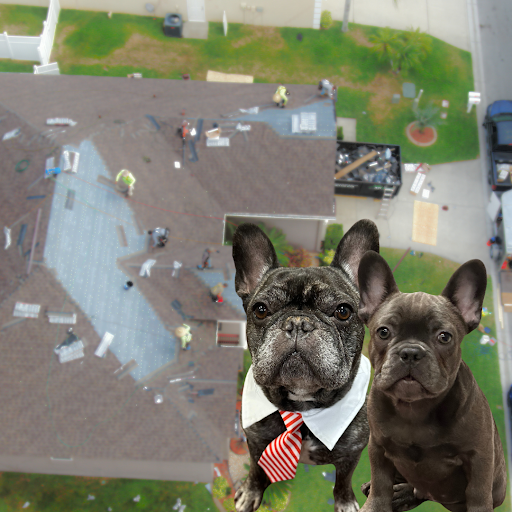 Two French bulldogs are in the foreground, one wearing a red striped tie and white collar. In the background, people work on the roof of a house seen from above.