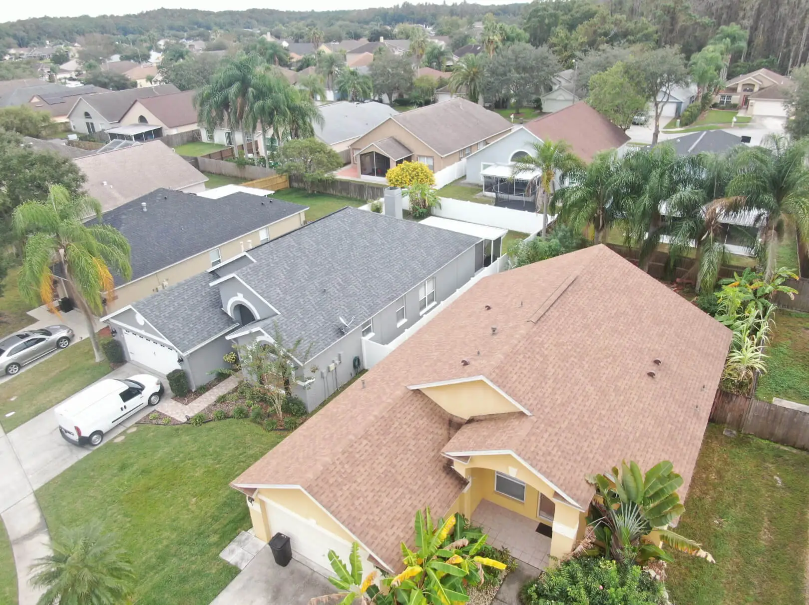 Aerial view of a suburban neighborhood with single-family homes, green lawns, palm trees, and cars parked in driveways on a cloudy day.