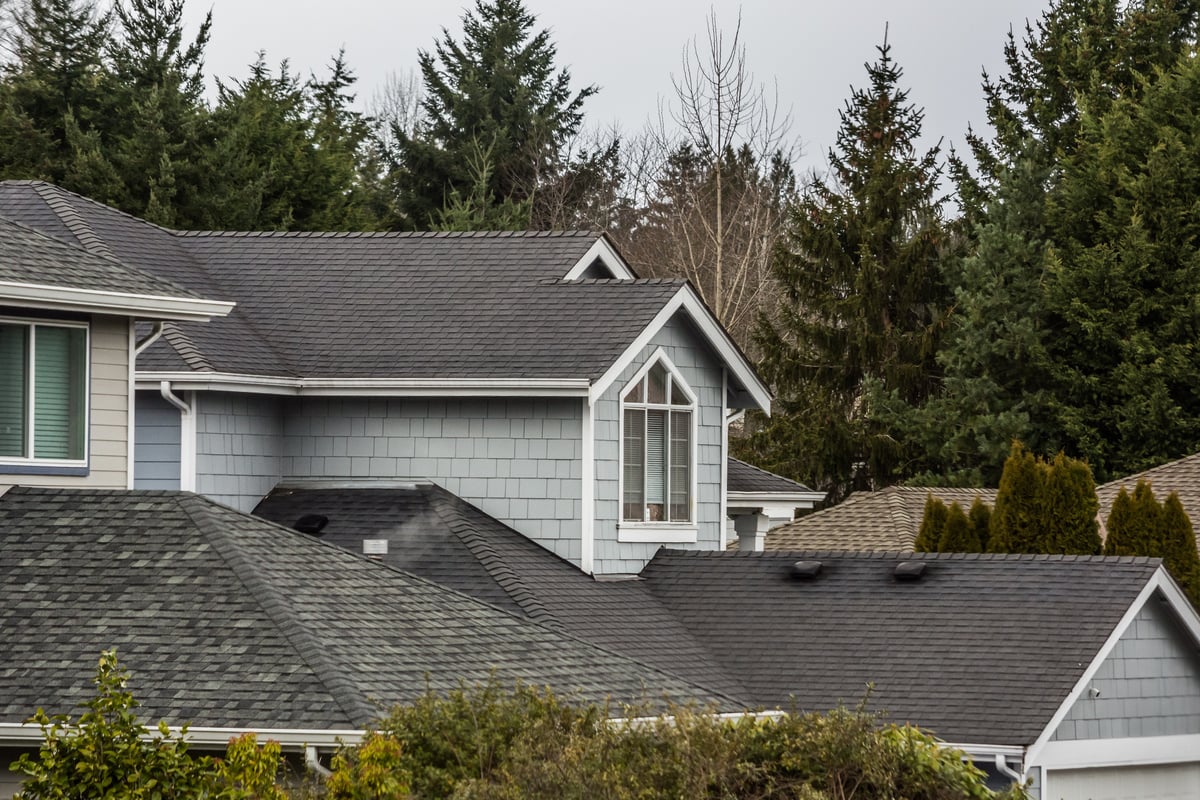metal roof vs shingles cost
