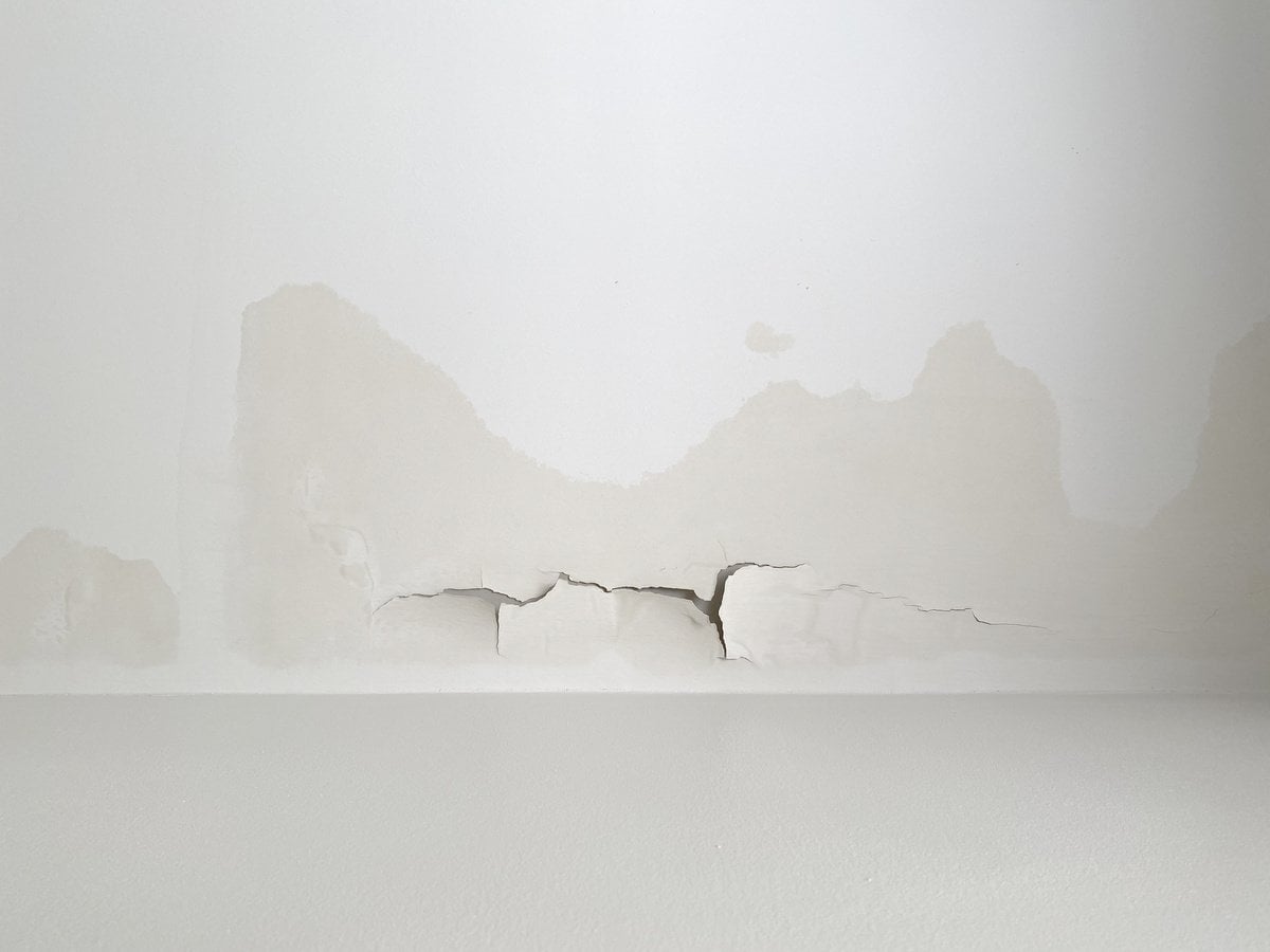 roof leak repair cost