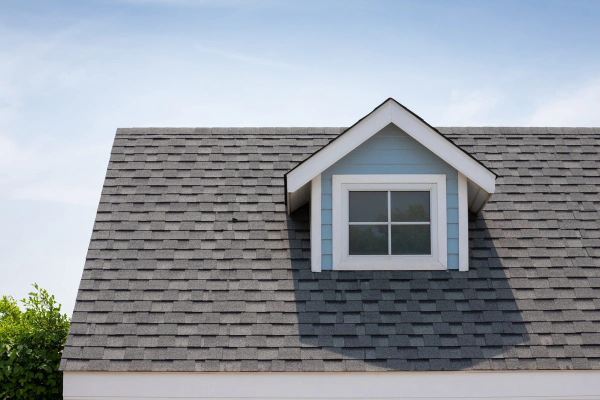 asphalt shingle roof