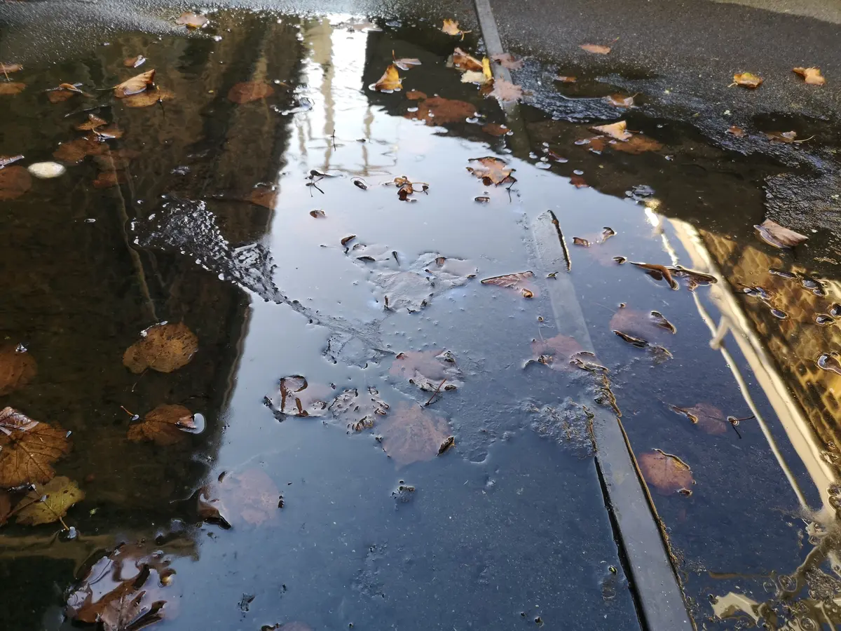 A shallow puddle caused by ponding on a street reflects nearby buildings and sky, with scattered brown autumn leaves floating on the water and lying on the wet pavement.