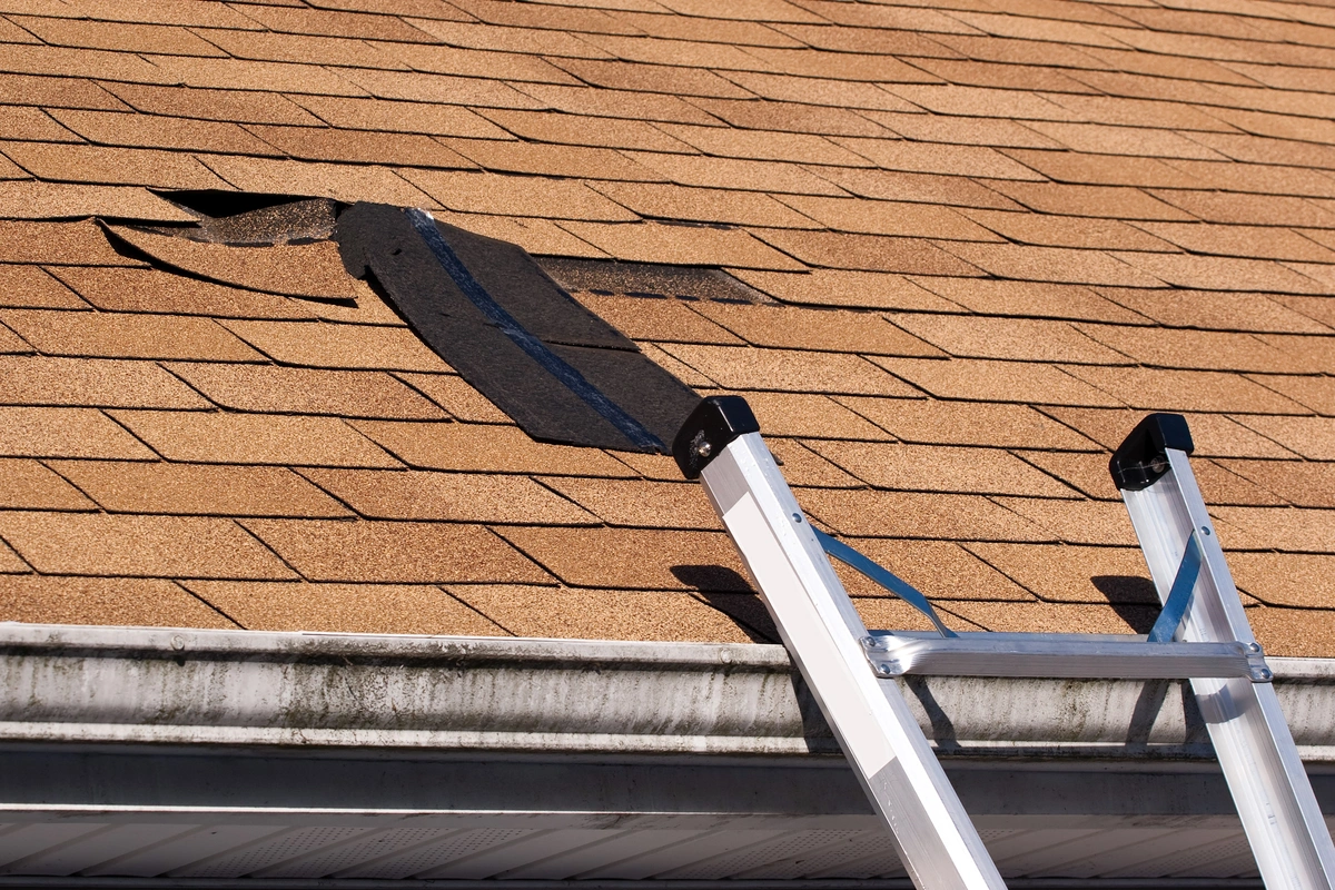 blown off shingles