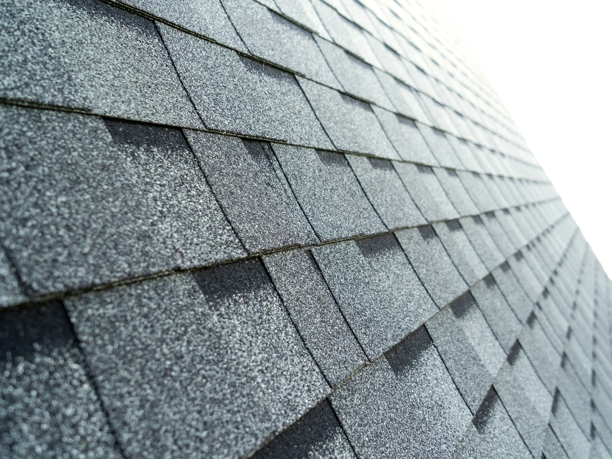 close-up-shingles