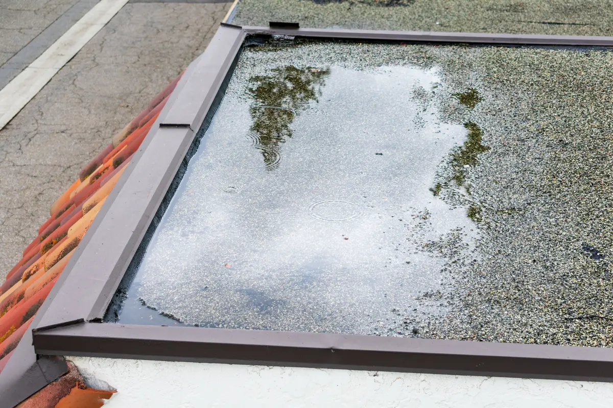 ponding on roof