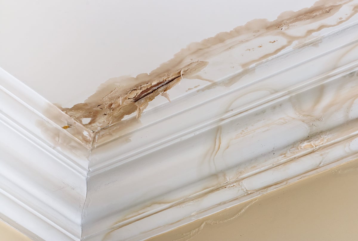 A ceiling corner with water damage, showing brown stains and peeling paint—signs of a possible leak or moisture problem that may require attention and consideration of roof leak repair cost.