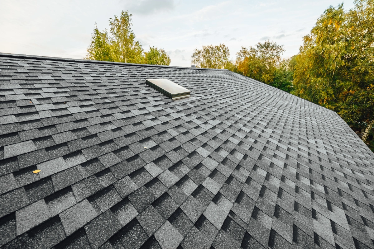 Gray asphalt shingle roof with a small rectangular skylight, surrounded by green trees under a partly cloudy sky, highlighting the durability and texture differences of architectural shingles vs 3 tab options.