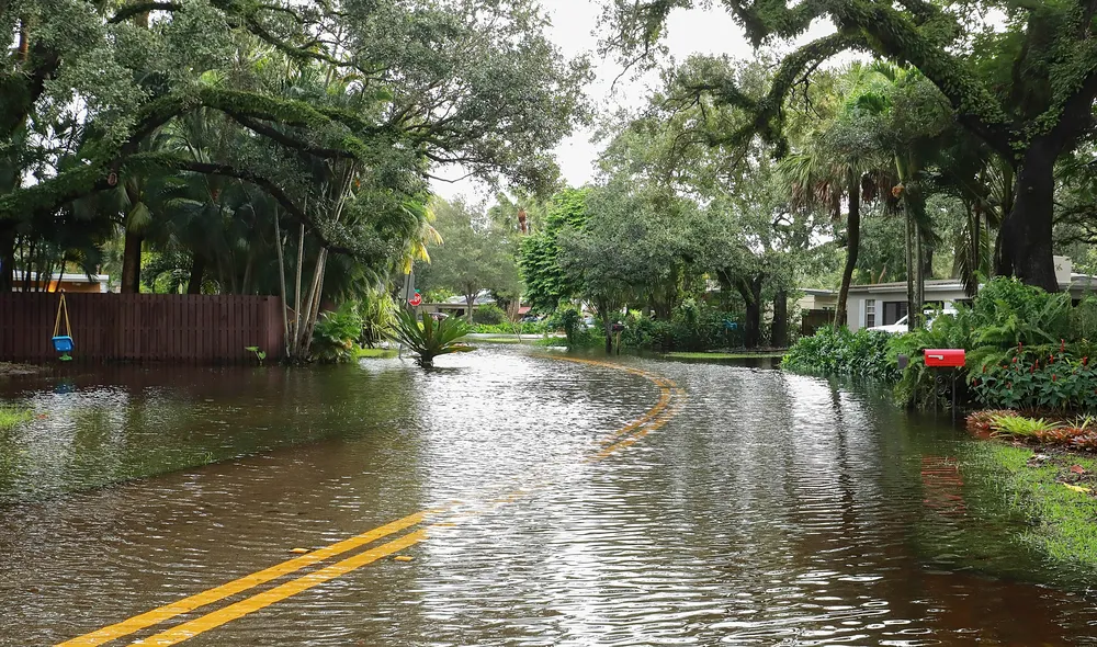 A neighborhood street is flooded with water, covering the road and surrounding area. Trees and houses line the street, and the yellow road markings are partially visible beneath the floodwater.