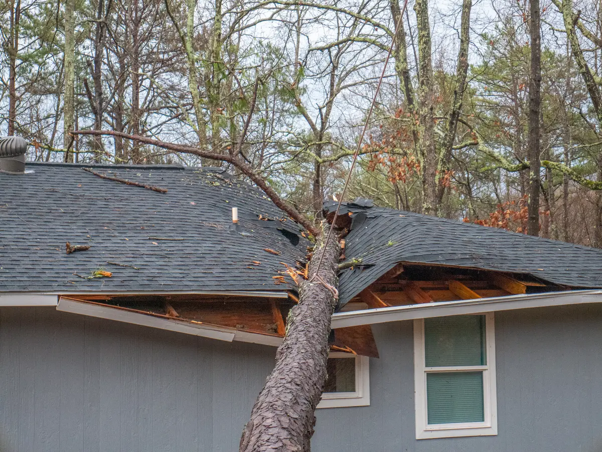 A large tree has fallen onto the roof of a house, breaking through the shingles and causing visible storm damage. The wooded area around the home highlights the risk—perfect for starting your roof insurance claim.