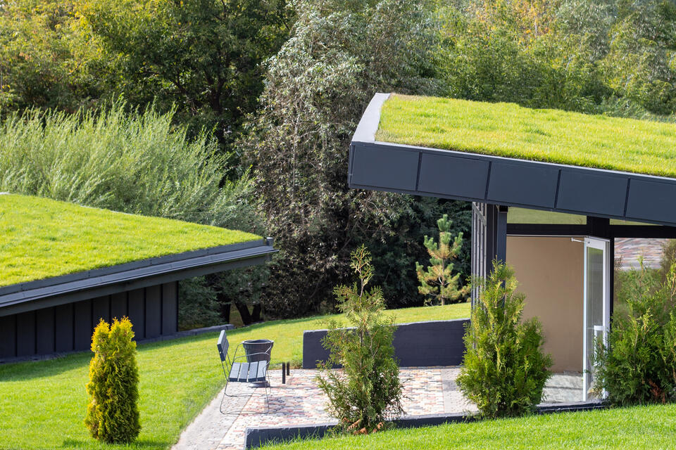 modern roof-home with angled flat roof and living green roof