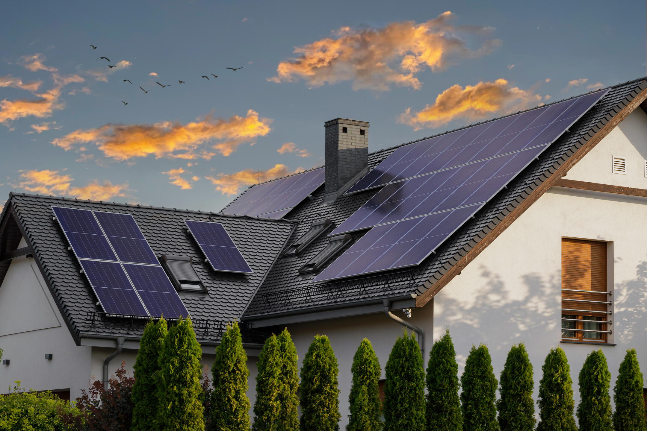 A modern house with black shingles and multiple solar panels on its sloped roof, surrounded by green bushes. The sky glows with orange clouds at sunset as birds fly in the background.
