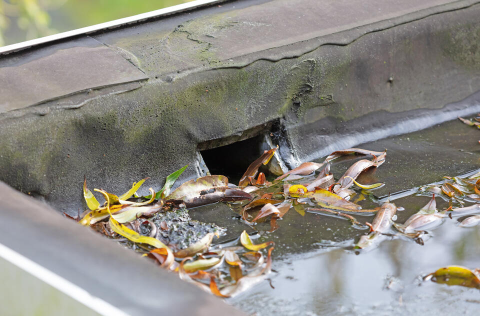 roof scupper-close up of roof scupper draining water and debris