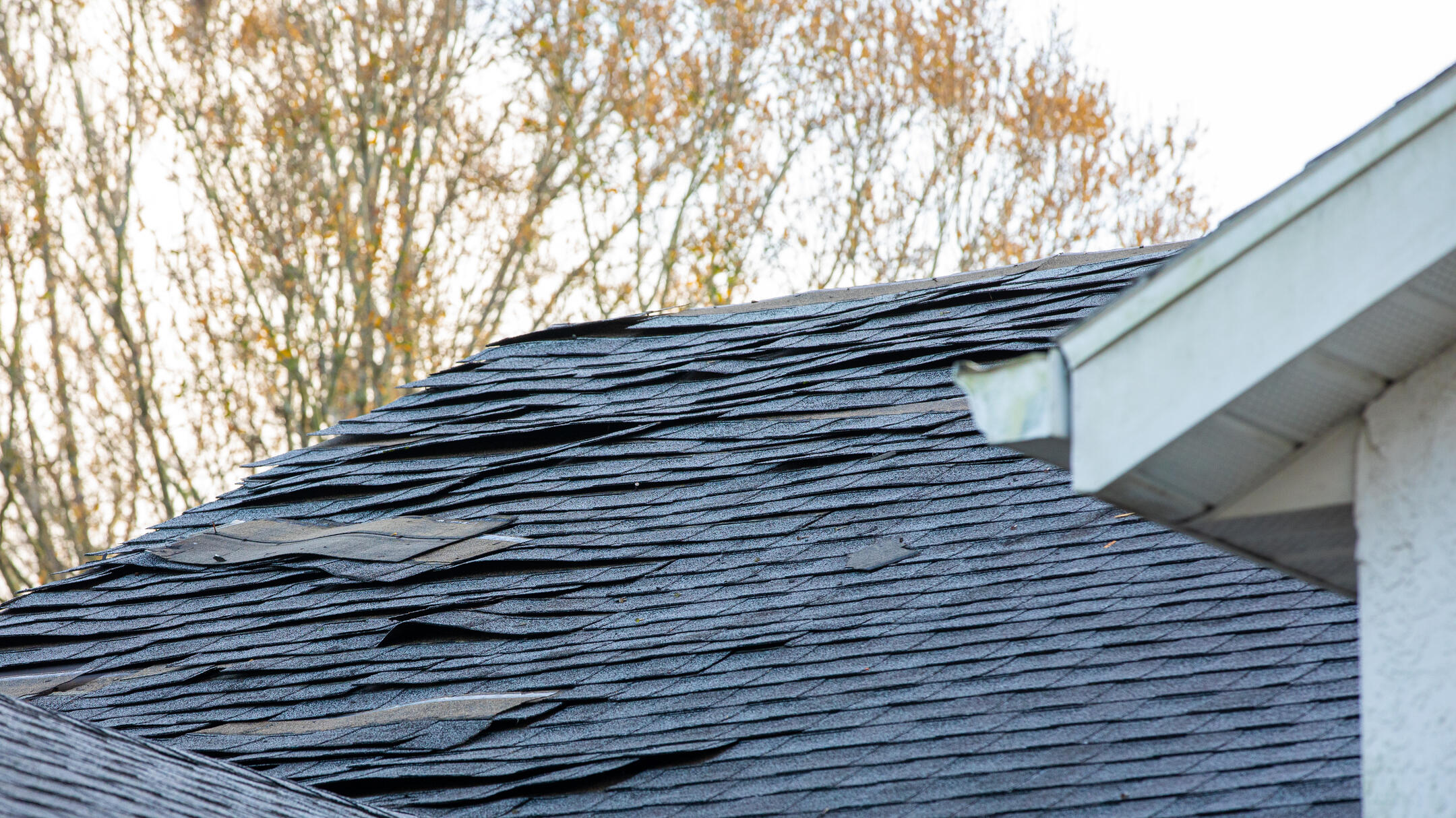 A close-up of a house roof with damaged, curled, and lifted black shingles; the gutter and siding are visible in the foreground, with trees showing sparse leaves in the background.