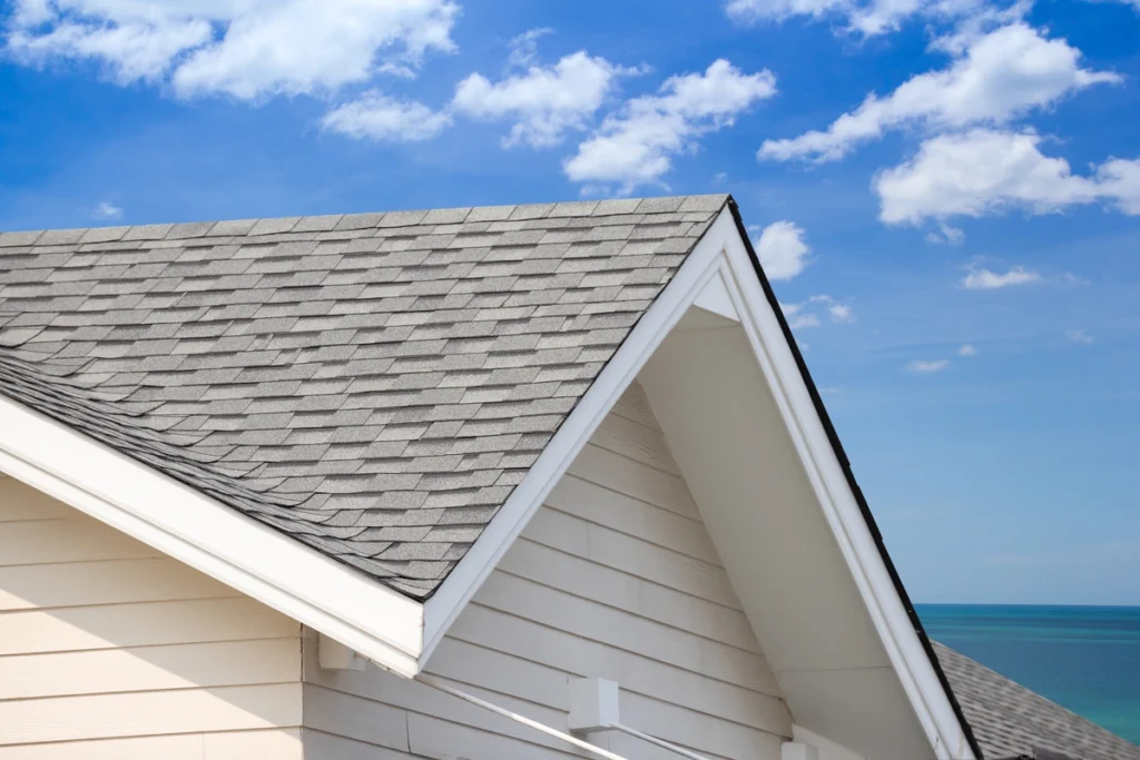 asphalt shingle roof