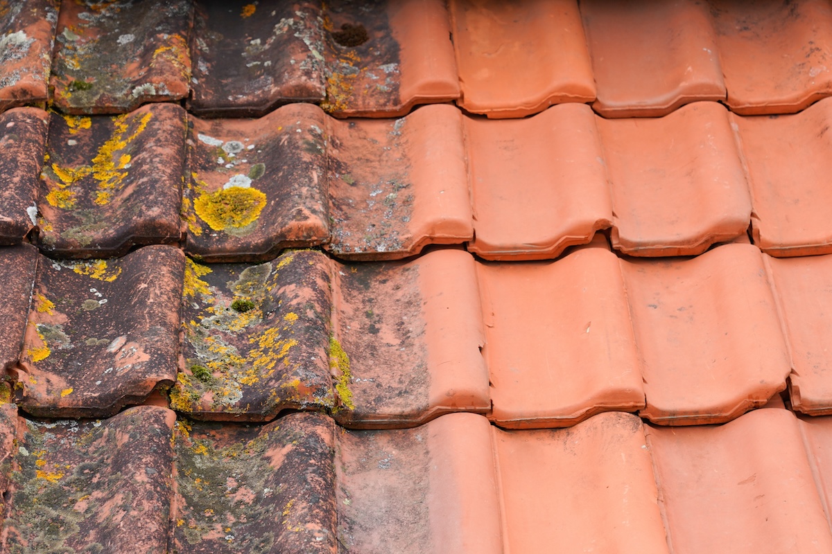 Close-up of a tiled roof showing a contrast between old, weathered tiles covered with moss and lichen on the left, and clean, new orange tiles on the right—highlighting the dramatic results of professional tile roof cleaning.