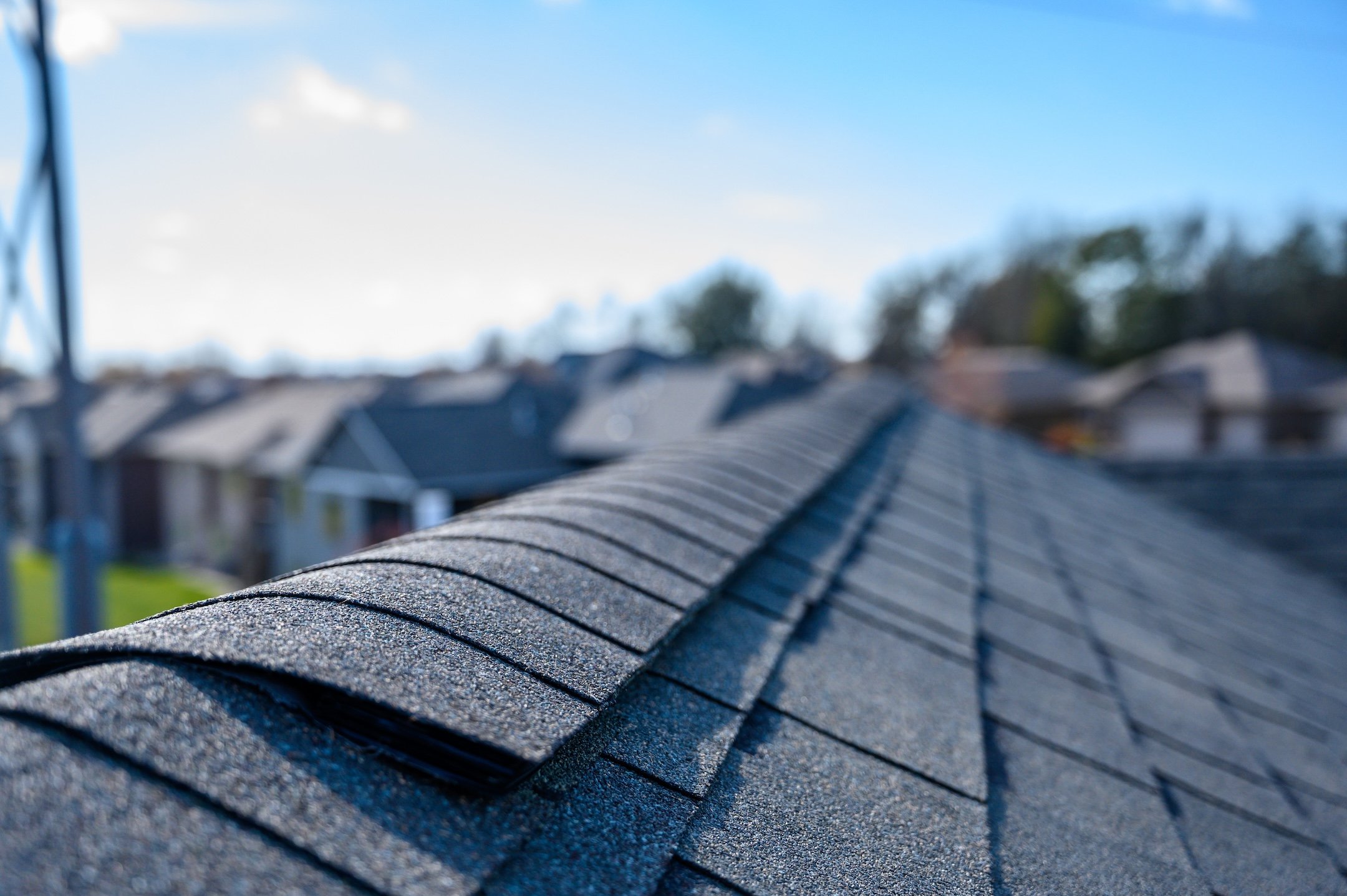 Close-up view of gray asphalt shingles on a roofing Treasure Island home, with a neighborhood of houses and trees softly blurred in the background beneath a bright blue sky.