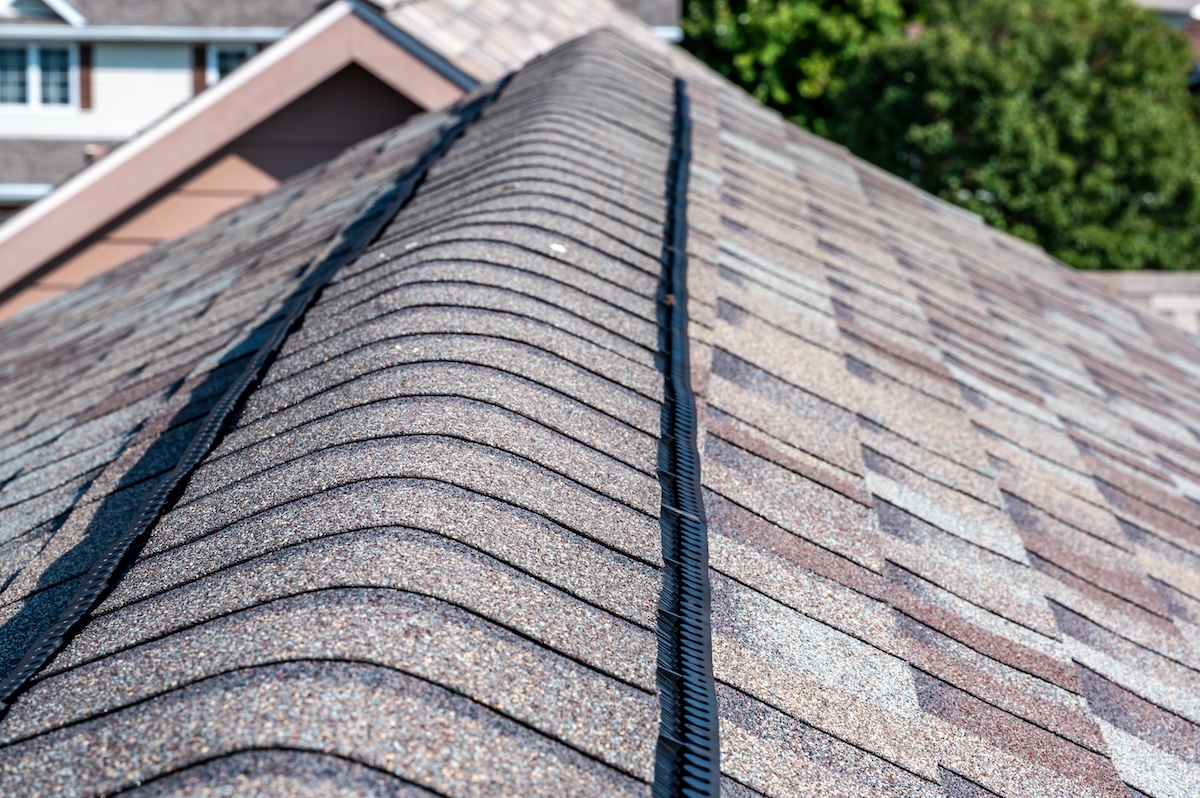 Close-up view of a residential roof ridge featuring asphalt shingles and a black ridge vent, with neighboring rooftops and green trees visible in the background.