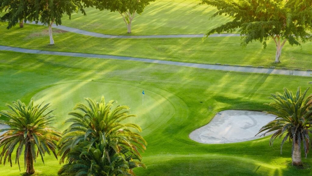 Aerial view of a green golf course with a putting green, sand bunker, palm trees, and winding paved paths—one of the top things to do in Wesley Chapel—under sunlight creating long shadows. things to do in wesley chapel