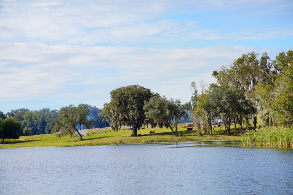 A calm lake is in the foreground with grassy banks and scattered trees in the background. Smoke rises from a campfire near tents and picnic tables, highlighting one of the many relaxing things to do in Wesley Chapel. The sky is partly cloudy. things to do in wesley chapel