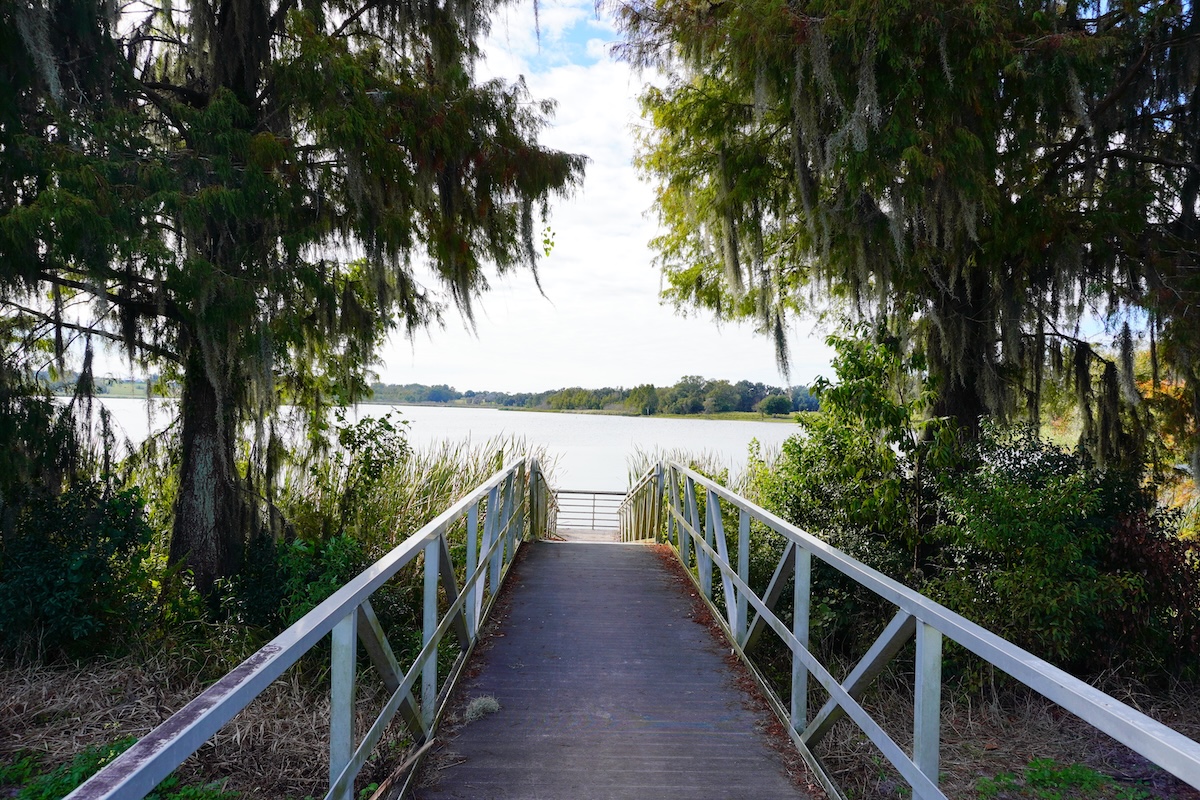 A wooden walkway with white railings leads through trees to a lake, draped in Spanish moss and lush greenery. Perfect for nature lovers looking for things to do in Wesley Chapel, the calm water and partly cloudy sky create a peaceful retreat.