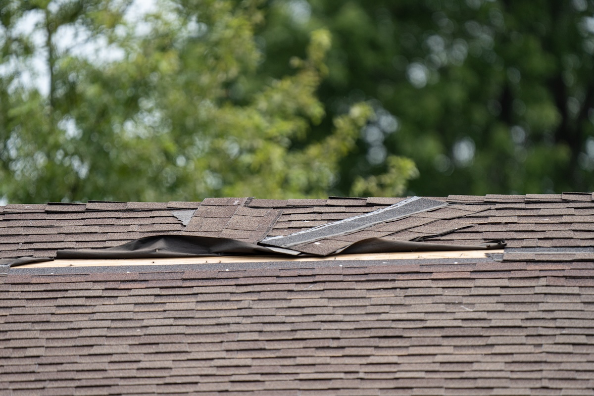 A close-up of a house roof with brown shingles, some of which are damaged and lifted, exposing the underlayment beneath. Green, blurry trees are visible in the background.