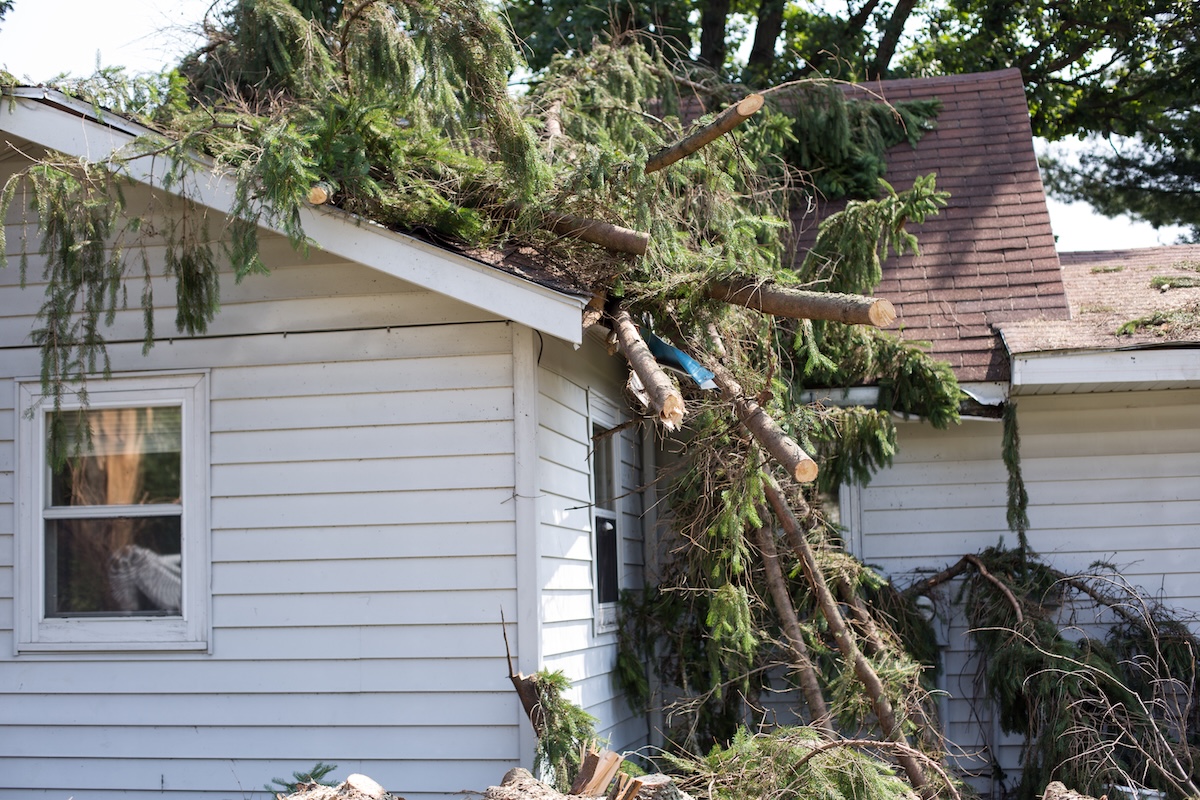 A large tree has fallen onto the roof of a white house, causing visible damage to the roof and gutters. Tree branches and debris are scattered around the area.