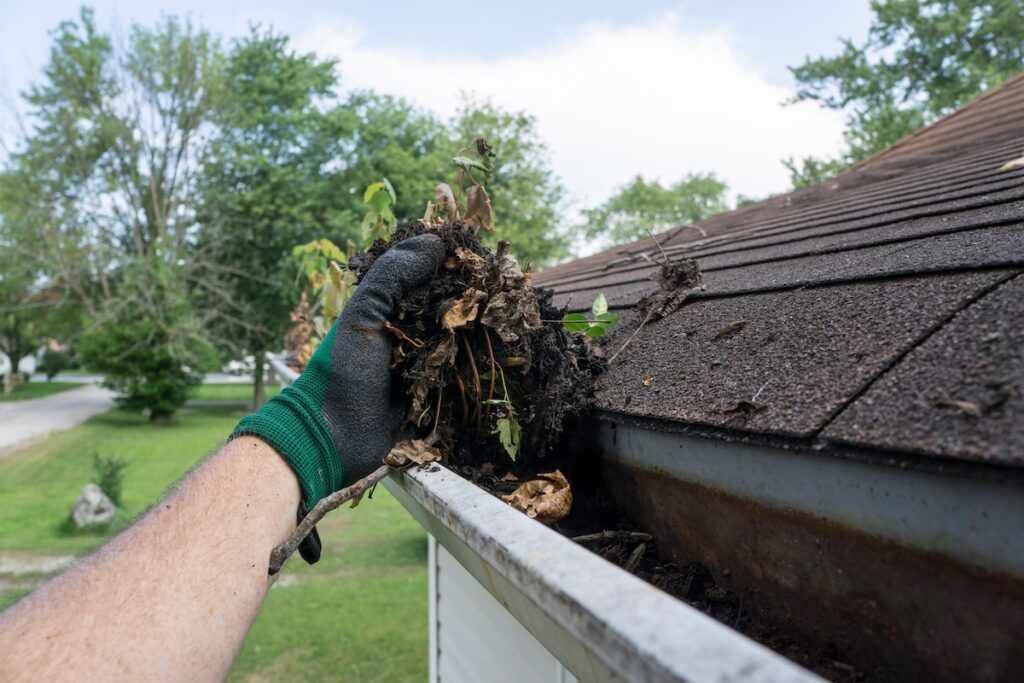 gutter cleaning A person wearing a green glove removes a handful of leaves and debris from a house’s roof gutter. Trees and grass are visible in the background on a bright day.