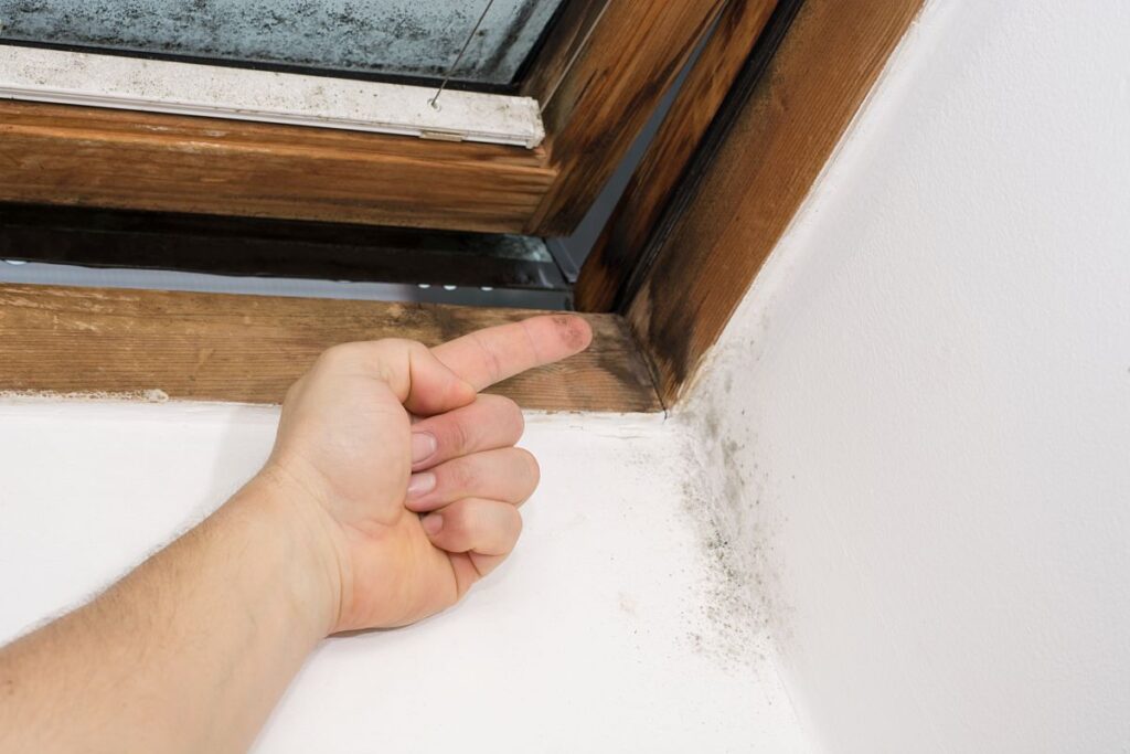 Wesley chapel roof damage issues mold damage due to water leak after storm hurricane