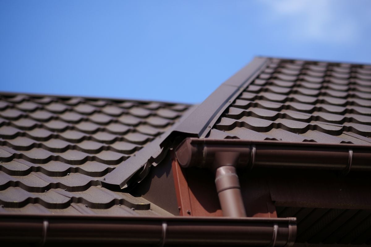 shingle vs metal roofing Wesley mchapel dark brown roof close up blue sky